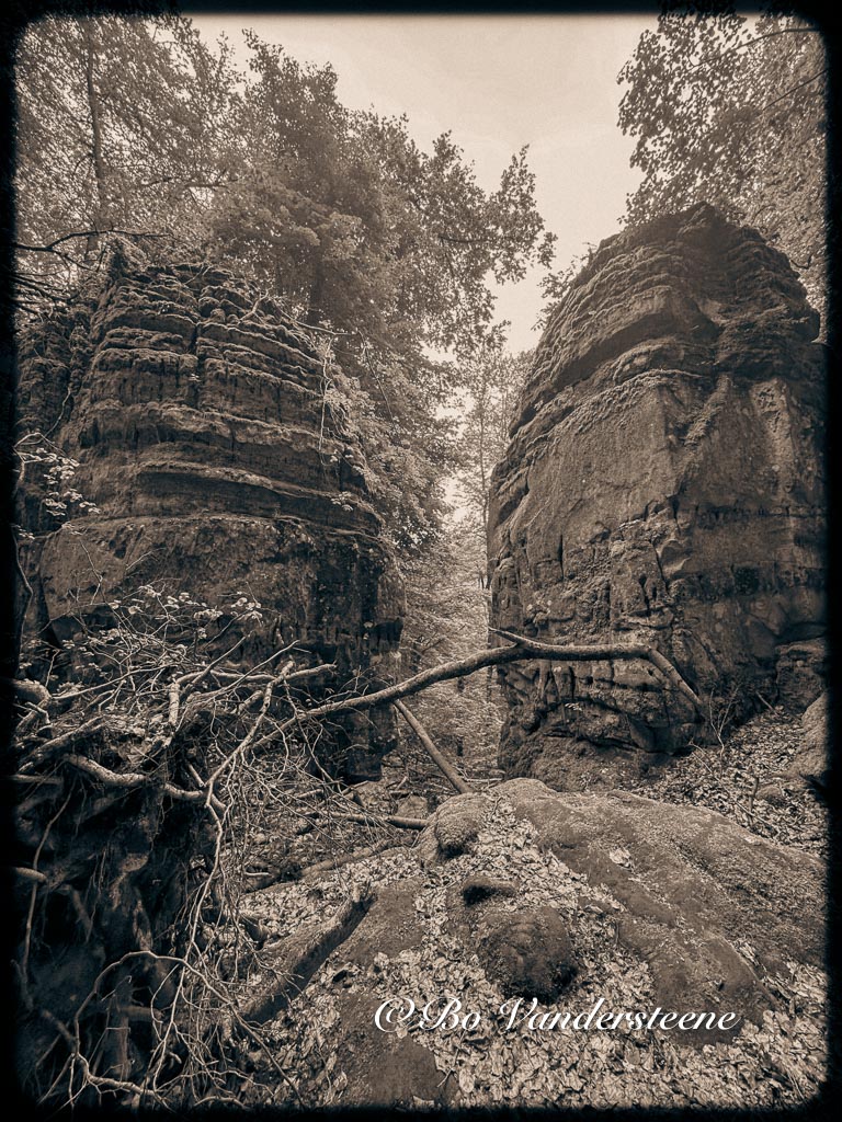 Avontuurlijk Wandelen op de Mullerthal Route 2 - Een Onvergetelijke Ervaring